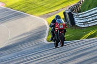 Oulton-Park-20th-March-2020;PJ-Motorsport-Photography-2020;anglesey;brands-hatch;cadwell-park;croft;donington-park;enduro-digital-images;event-digital-images;eventdigitalimages;mallory;no-limits;oulton-park;peter-wileman-photography;racing-digital-images;silverstone;snetterton;trackday-digital-images;trackday-photos;vmcc-banbury-run;welsh-2-day-enduro